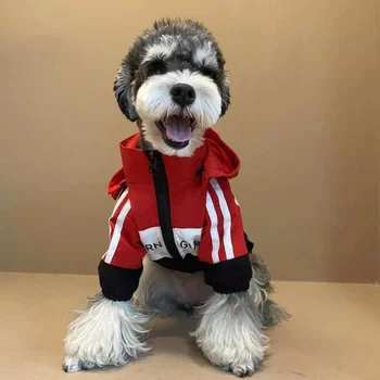Kış Ceket Kaban Köpek Giysileri Moda Kalınlaşmak Köpekler Giyim Pet Kıyafetler Sonbahar Kış Yorkies Baskı Kırmızı Çocuk Ropa Para Perro